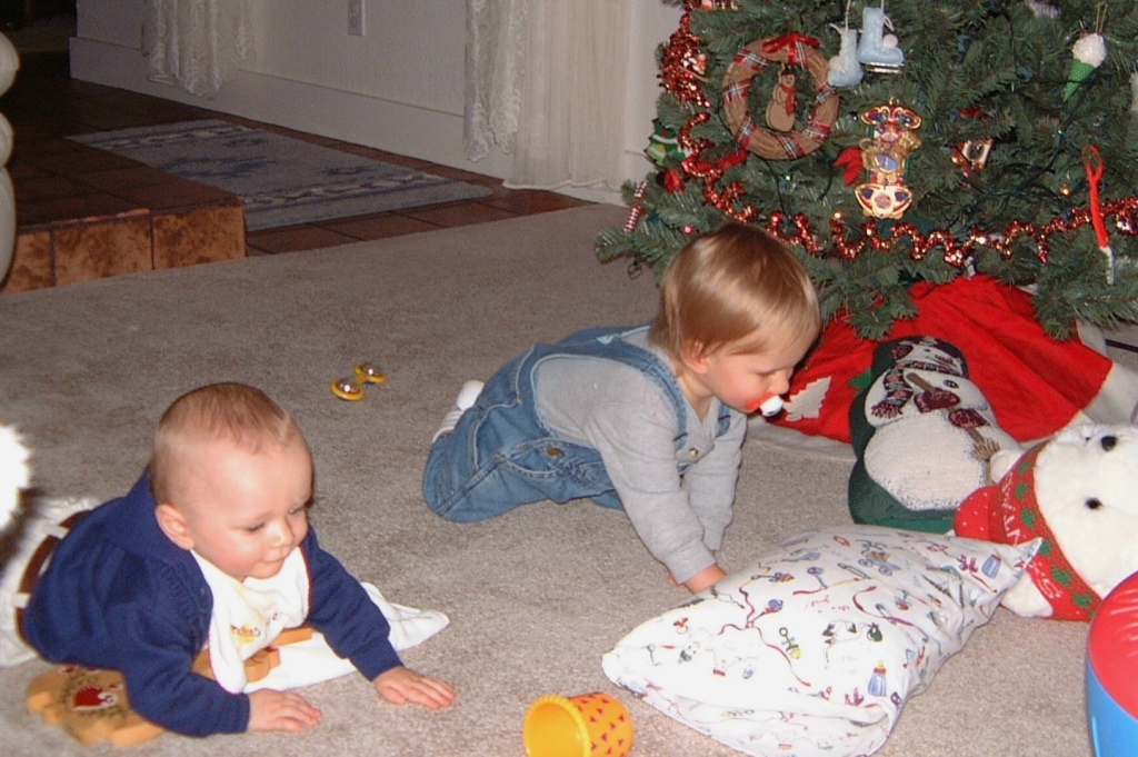 Hildebrand Christmas ScreenSaver/1024x768_2000-12-02 Vale-Chance-XmasTree.jpg